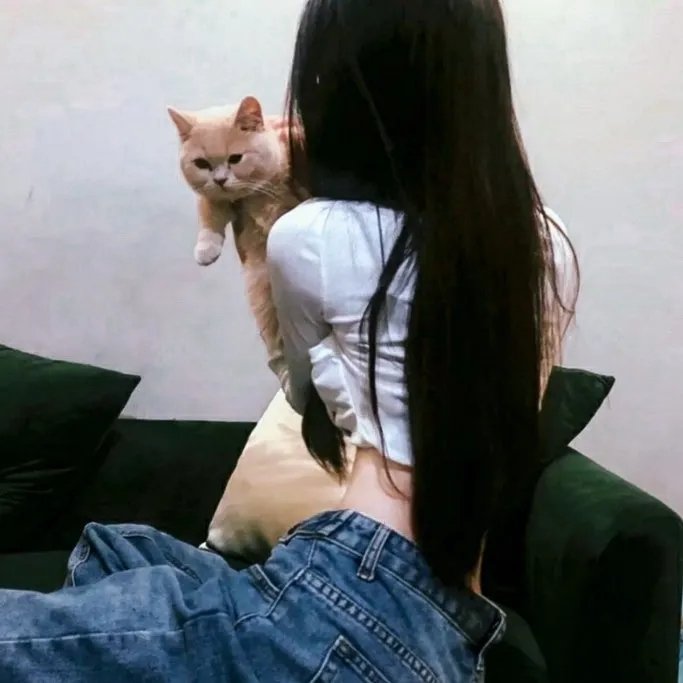 重生丫头狠狠爱